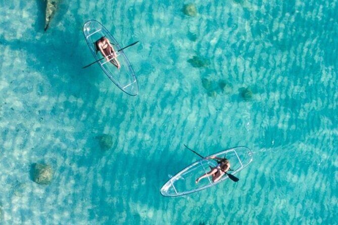 Mnemba Dolphin Tour, Clear Kayak, Cooking Class, Horse Riding - Shabuta Spice Farm: the Swahili cooking class that many people rate as the best part