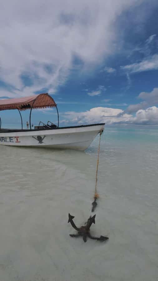 Mnemba Island: Dolphin Swim & Snorkeling with Optional Lunch - The boat-to-island rhythm: why the timing works