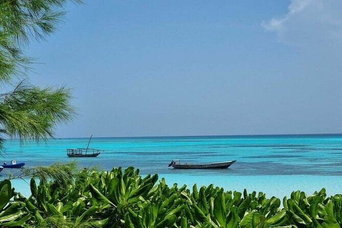 Mnemba Island Half Day Live Aquarium With Transfer - Zanzibar - Key Highlights Worth Your Time