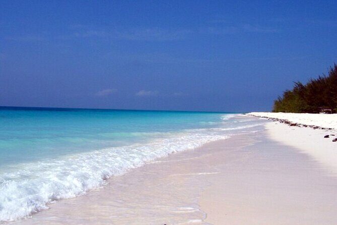 Mnemba Island Half Day Live Aquarium With Transfer - Zanzibar - Dolphin Watching on the Way: Fun, Fast, Unpredictable