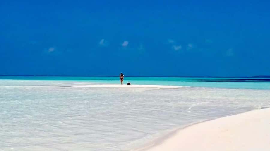 Mnemba Island, Jozani Forest, Starfish Adventure, The Rock - Mnemba, Monkeys, Starfish, and The Rock in one packed day