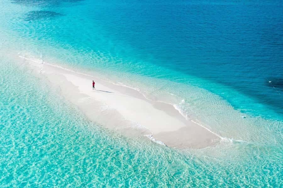 Mnemba Island, Jozani Forest, Starfish Adventure, The Rock - Who this tour fits best (and who should think twice)