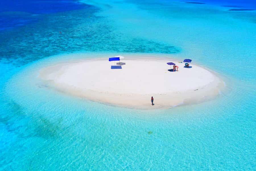 Mnemba Island, Jozani Forest, Starfish Adventure, The Rock - Mnemba Island Atoll: snorkeling, dolphins, and a shallow sandbank