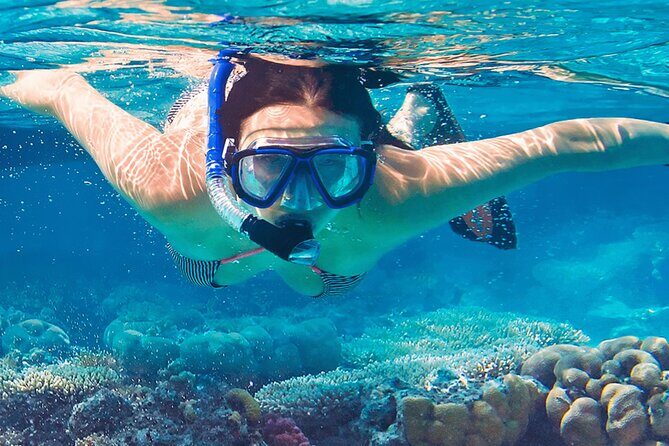 Mnemba Island Marine Safari Snorkeling and Dolphin Watching - Price and Value: What $150 (or $120) Really Means