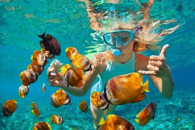 Mnemba Island Marine Safari Snorkeling and Dolphin Watching - Mama Mia Nungwi Start: Timing, Pickup, and First Tips