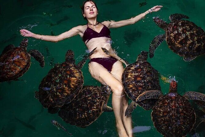 Mnemba Island, Nungwi Village & Sea Turtle Experience - What makes the whole day work: timing, transportation, and group setup