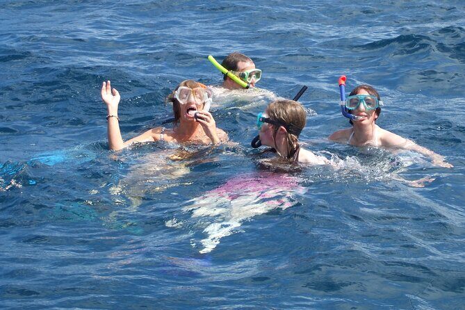 Mnemba Island Snorkeling and Swimming with Dolphins - Who this tour fits best in Zanzibar
