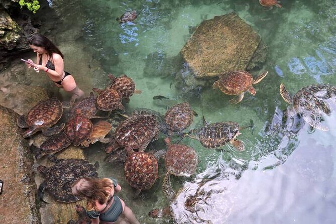 Mnemba Snorkeling, Dolphin and Baraka Natural Aquarium - How long is the whole thing, really?