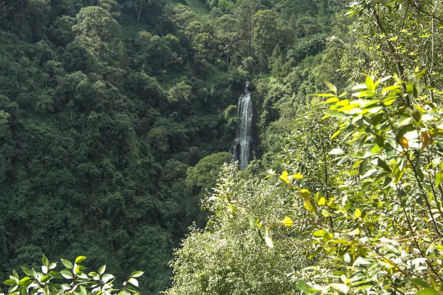 Moshi: A Day Tour To Materuni Waterfall - Coffee farm tour and tasting: the hands-on part people remember
