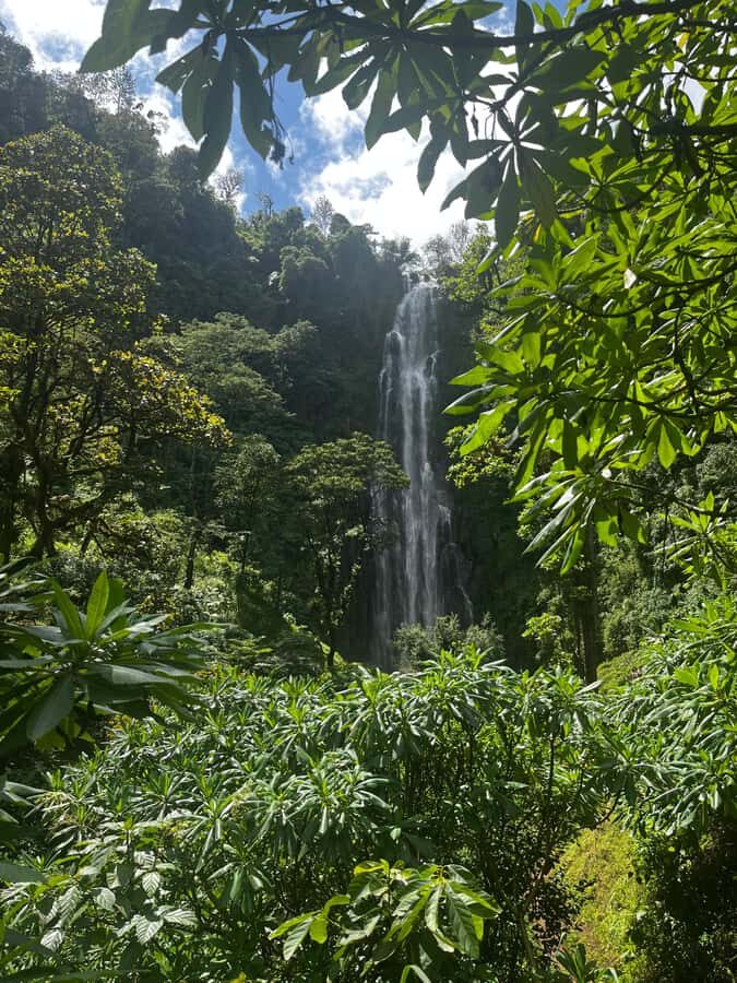 Moshi: A Day Tour To Materuni Waterfall - Price and value: is $42 for Materuni worth it?