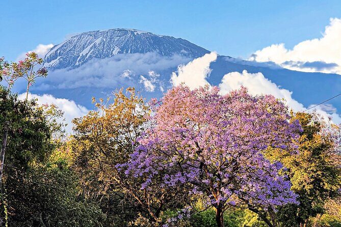 Moshi City Tour: Explore the Foothill of Kilimanjaro on Foot - Key highlights you’ll feel during the walk