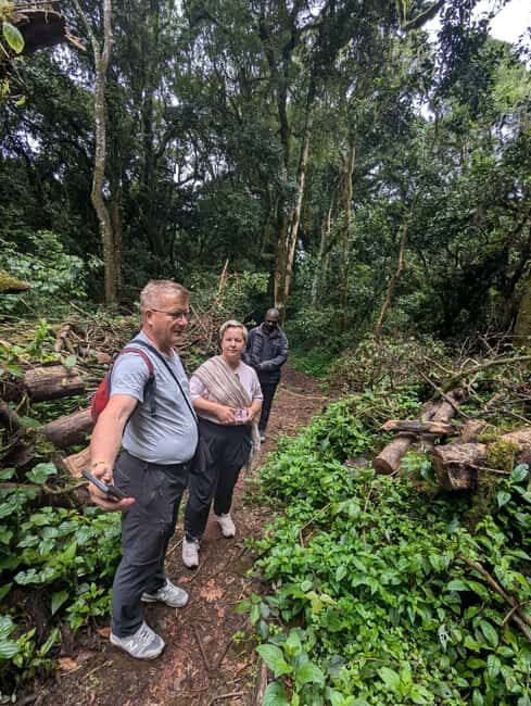 Moshi: Kilimanjaro Climb Marangu Route Guided Tour - Marangu Route: a fast Kilimanjaro taste with real trail time