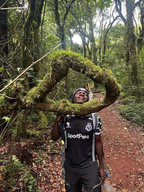 Moshi: Kilimanjaro Climb Marangu Route Guided Tour - Into the rainforest: from Marangu Gate to Mandara Hut