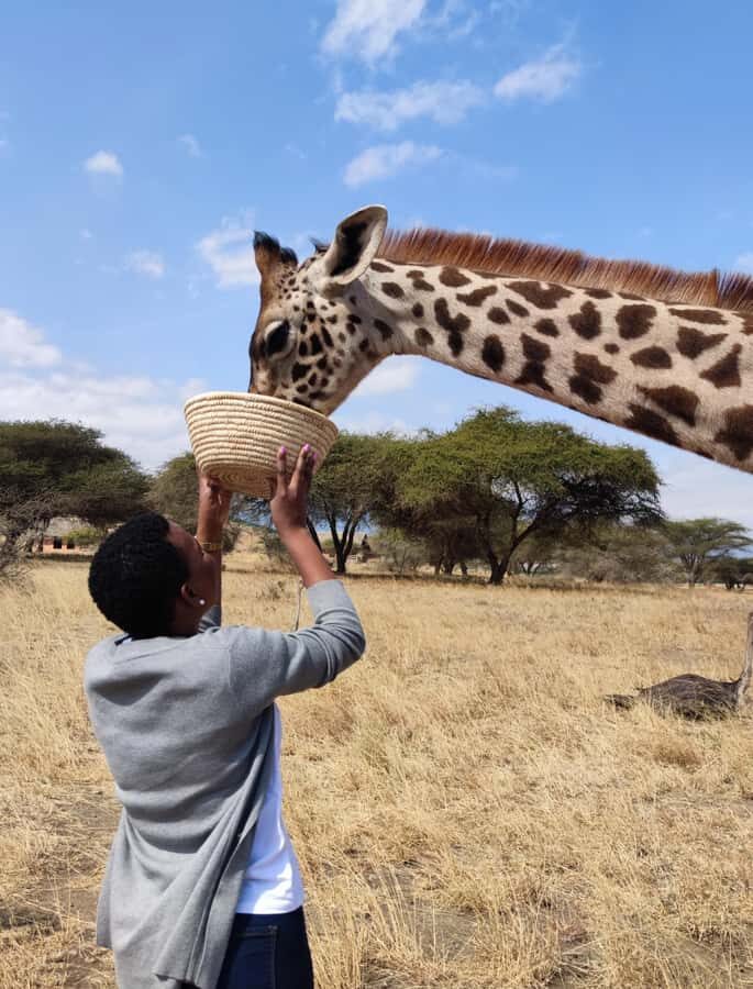 Moshi: Serval Wildlife Tour with food and drinks - What You’re Really Buying in This 3-Hour Serval Visit