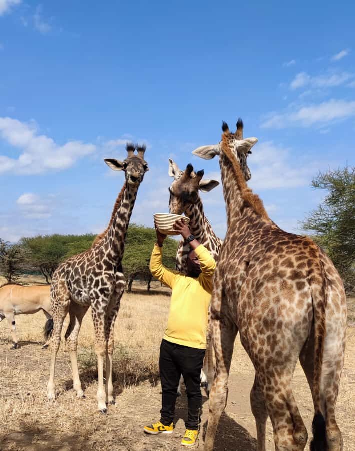 Moshi: Serval Wildlife Tour with food and drinks - Conservation and Learning: Why the Guide Changes Everything