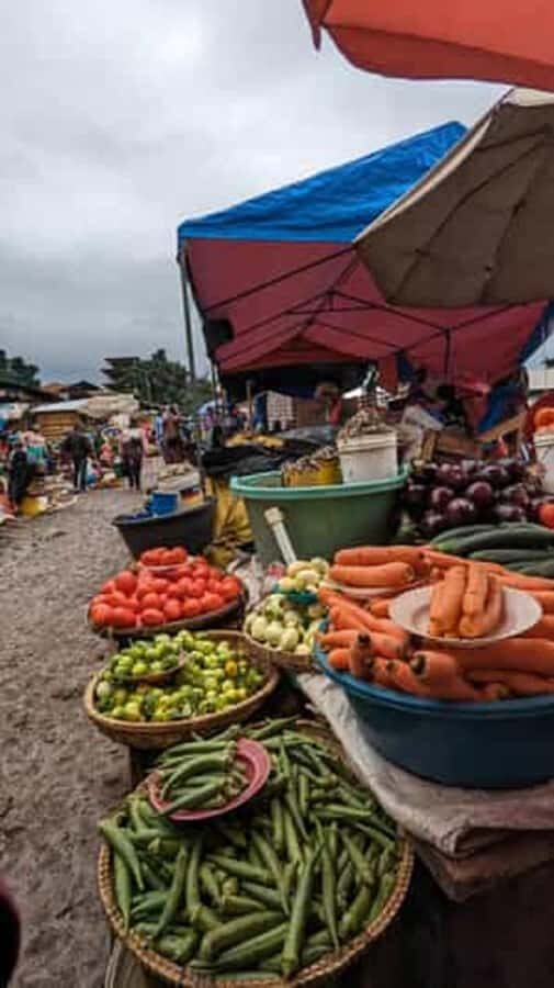Moshi town 1 day tour - A 7-hour Moshi town reset for pre- or post-Kilimanjaro days