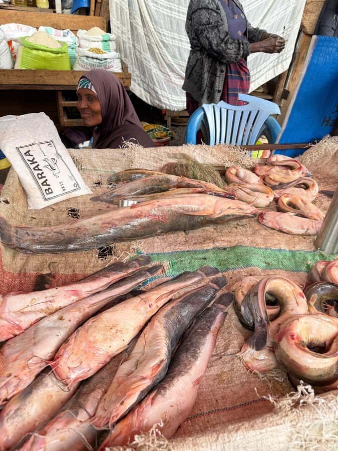 Moshi town 1 day tour - Manyema fish market: more than a quick photo stop