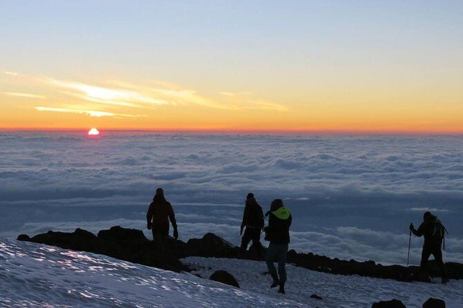 Mount Kilimanjaro 6 days - Machame route - Day 4: Barafu Camp and the South Circuit build-up