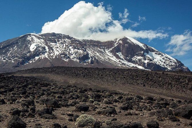 Mount Kilimanjaro 6 days - Machame route - Day 6: Mweka descent, summit certificates, and back to Moshi