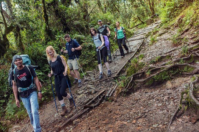 Mount Kilimanjaro 7 Days - Machame Route - Day 2: Shira National Park ridges and the steep rocky valley crossing