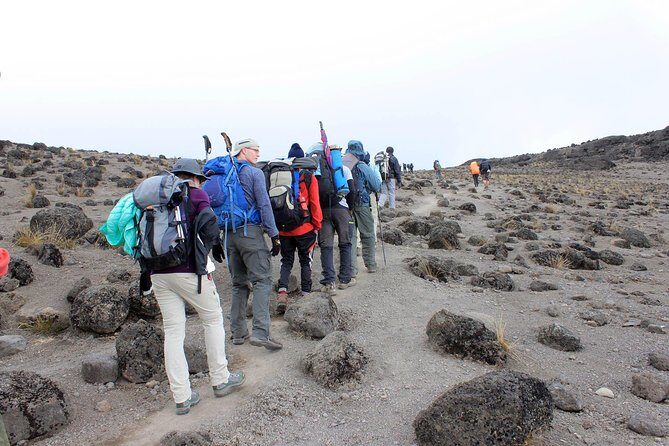 Mount Kilimanjaro 7 Days - Machame Route - Day 4: Barranco Wall to Karanga Valley and the link toward Mweka