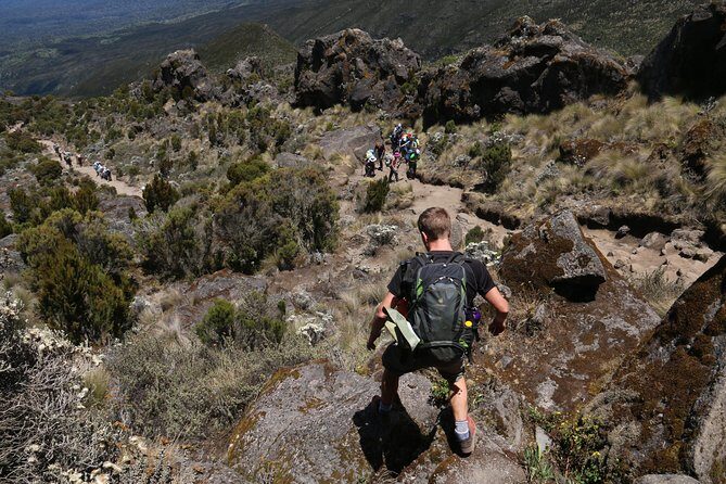 Mount Kilimanjaro Day Hike - Weather and Comfort: The Simple Tips That Make This Easier