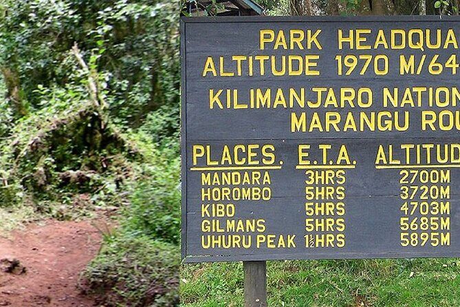 Mount Kilimanjaro Day Hike Through Marangu Route to Mandara Hut - Starting at 6:00 am: what your morning looks like