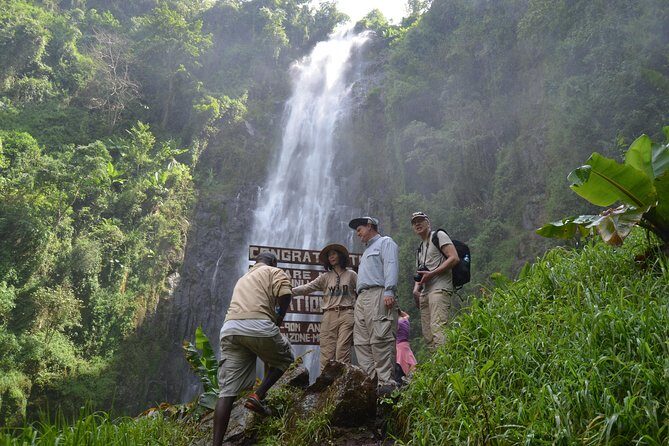Mount Kilimanjaro day trip trekking - Key highlights worth getting excited about