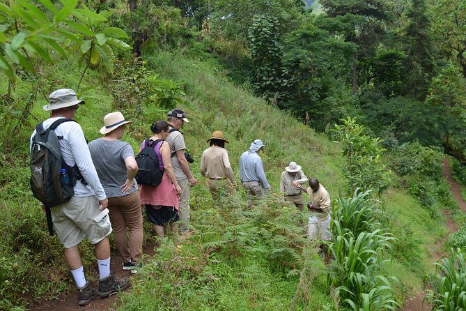Mount Kilimanjaro day trip trekking - What’s included in the price (and where the value is really hiding)
