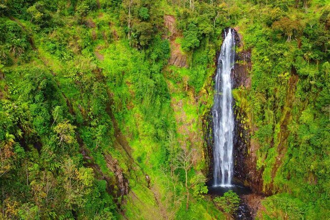 Mount Kilimanjaro day trip trekking - Who this Materuni + Coffee + Hot Springs day trip suits best