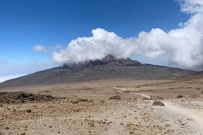 Mount Kilimanjaro - Lemosho Route - Day 6: Summit day to Uhuru Peak via Stella Point, then down to Mweka Hut