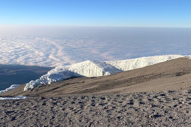 Mount Kilimanjaro - Machame route - Day 2: Into moorland and up to Shira Camp (3000m to 3850m)