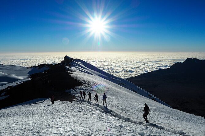 Mount Kilimanjaro - Machame route - Day 7: Mweka Gate and the final forest descent (3100m down to 1650m)