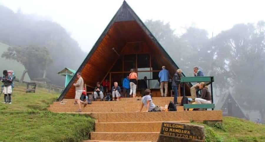 Mount Kilimanjaro National Park Day Trip - Key things to love about this Kilimanjaro day trip