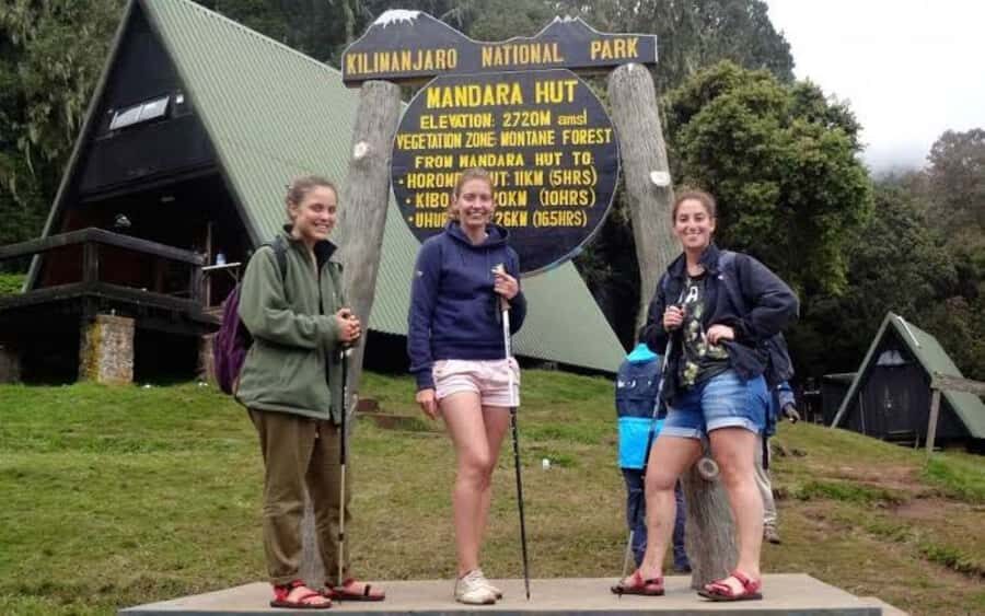 Mount Kilimanjaro National Park Day Trip - The rainforest trek to Mandara Hut: where the hike earns its keep