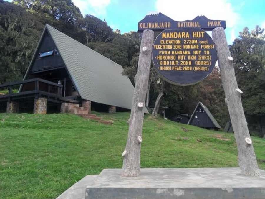 Mount Kilimanjaro National Park Day Trip - Guides and the human touch: Amos Urassa as an example