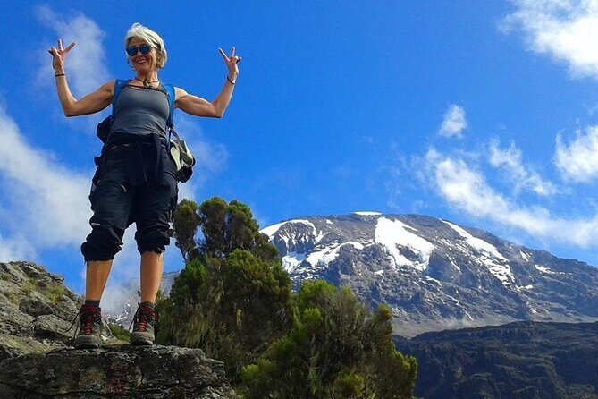 Mount Kilimanjaro Rongai Route - Moshi logistics: airport start, pickup, and returning to Springlands