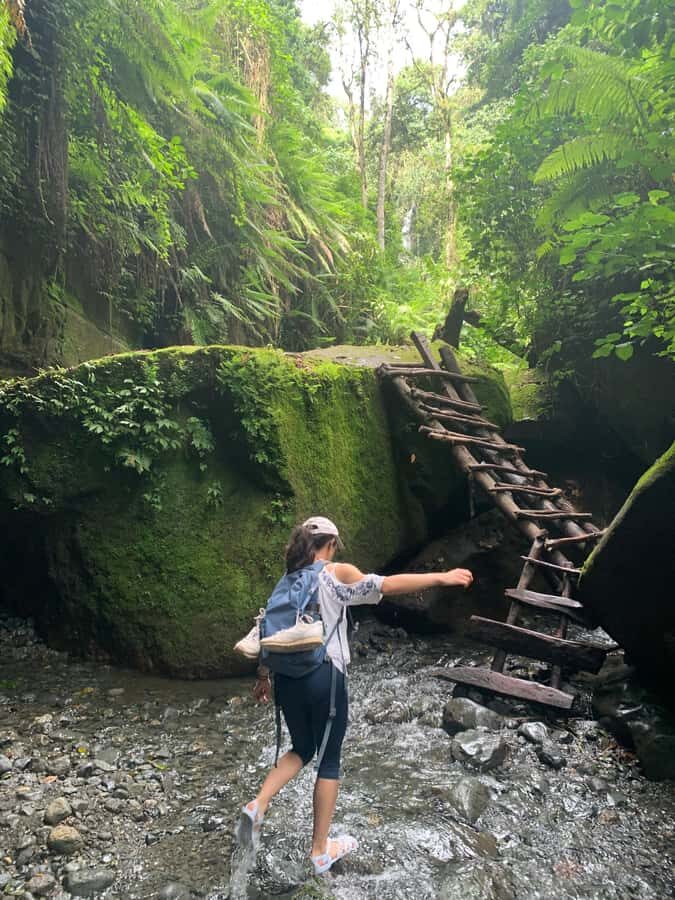Mount Meru Arusha: Napuru Waterfall Hike by Kingstone Asilia - Key points to know before you go