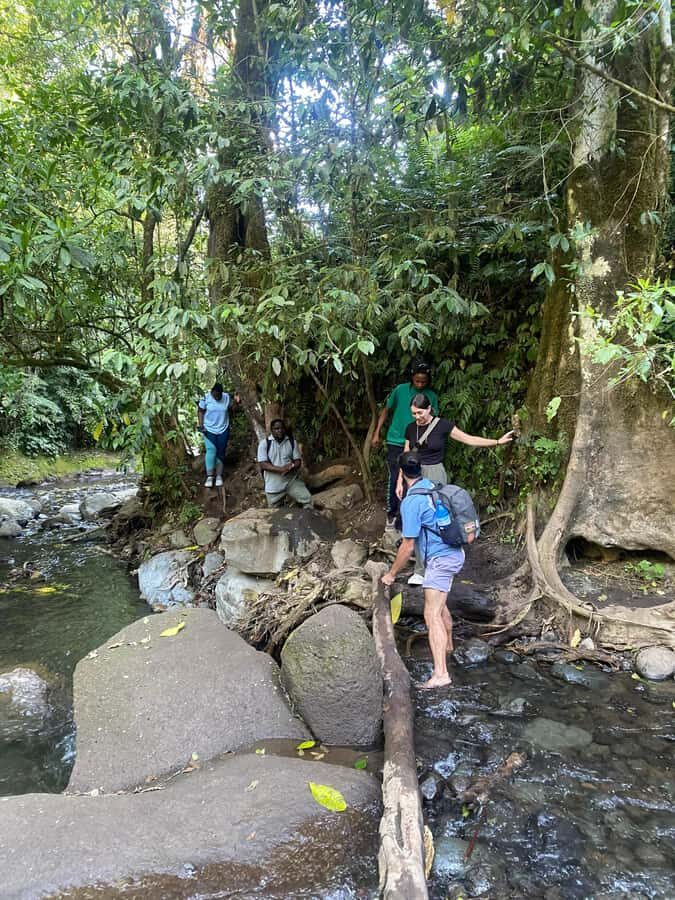 Mount Meru Arusha: Napuru Waterfall Hike by Kingstone Asilia - What makes the Kingstone Asilia coffee stop special