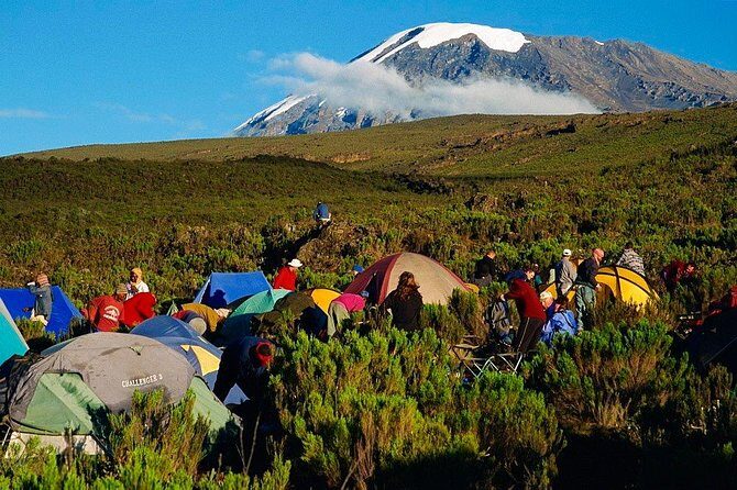 Mountain Kilimanjaro Climbing 7 Days Machame Route - Key Highlights Worth Noticing