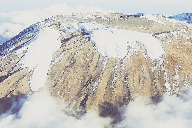 Mountain Kilimanjaro Climbing 7 Days Rongai Route - Day 1: NaleMuru to Simba Camp at 2625m