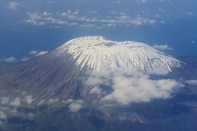 Mountain Kilimanjaro Climbing 8 Days Lemosho Route - Day 1 (2100m to Mti Mkubwa 2650m): forest start and early orientation