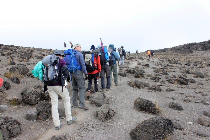 Mt Kilimanjaro 360° Trek with Once-in-a-Lifetime Crater Camping - Training and fitness: what medium difficulty actually means for you