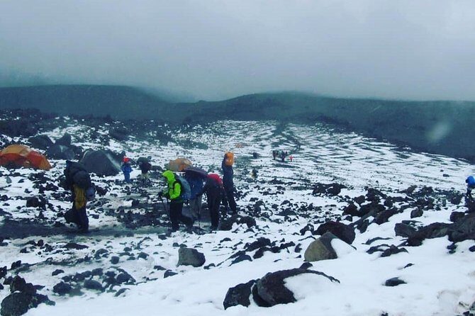 Mt Kilimanjaro 6 days Marangu route hike - Day 3 at Horombo Hut: the acclimatization day that often makes the difference