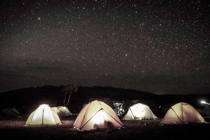 Mt Kilimanjaro 6 days Marangu route hike - Day 4 to the saddle: from upper heathland into moonscape prep