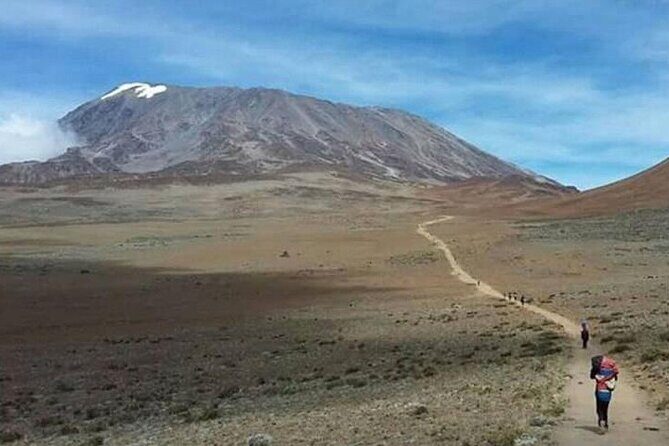 Mt Kilimanjaro Climb - 6 days Marangu - Day 6 Descent to Marangu Gate: Forest Walk-Out and Certificate Moment