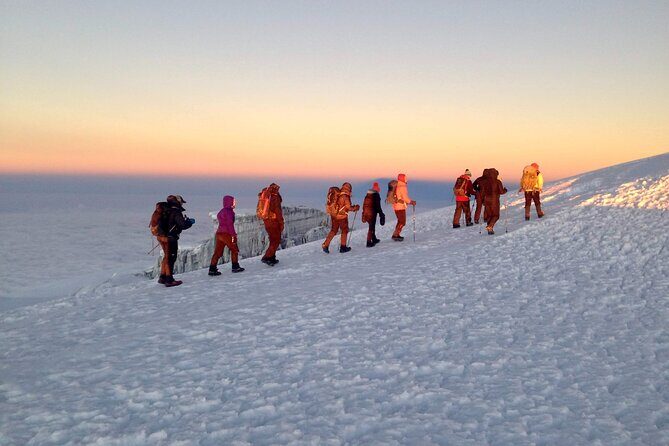 Mt. Kilimanjaro Climb - 8 Day Lemosho Route - From Moshi to Londorossi Gate: Day 1 Forest Walking and Blue Monkey Energy