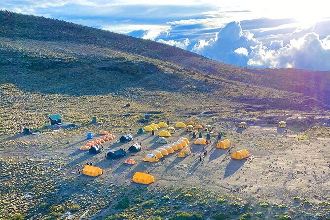 Mt. Kilimanjaro Climb - 8 Day Lemosho Route - Lava Tower and Senecio Forest: Day 4’s High-Altitude Lesson Without the Chaos