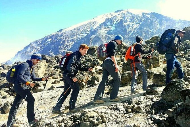 Mt Kilimanjaro Climbing; 6 Days Machame route - Day 3 toward Lava Tower and down to Barranco: the acclimatization payoff