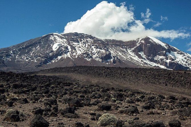 Mt Kilimanjaro Climbing; 6 Days Machame route - Day 1 to Machame Camp: rain forest ridgeline and muddy trail discipline